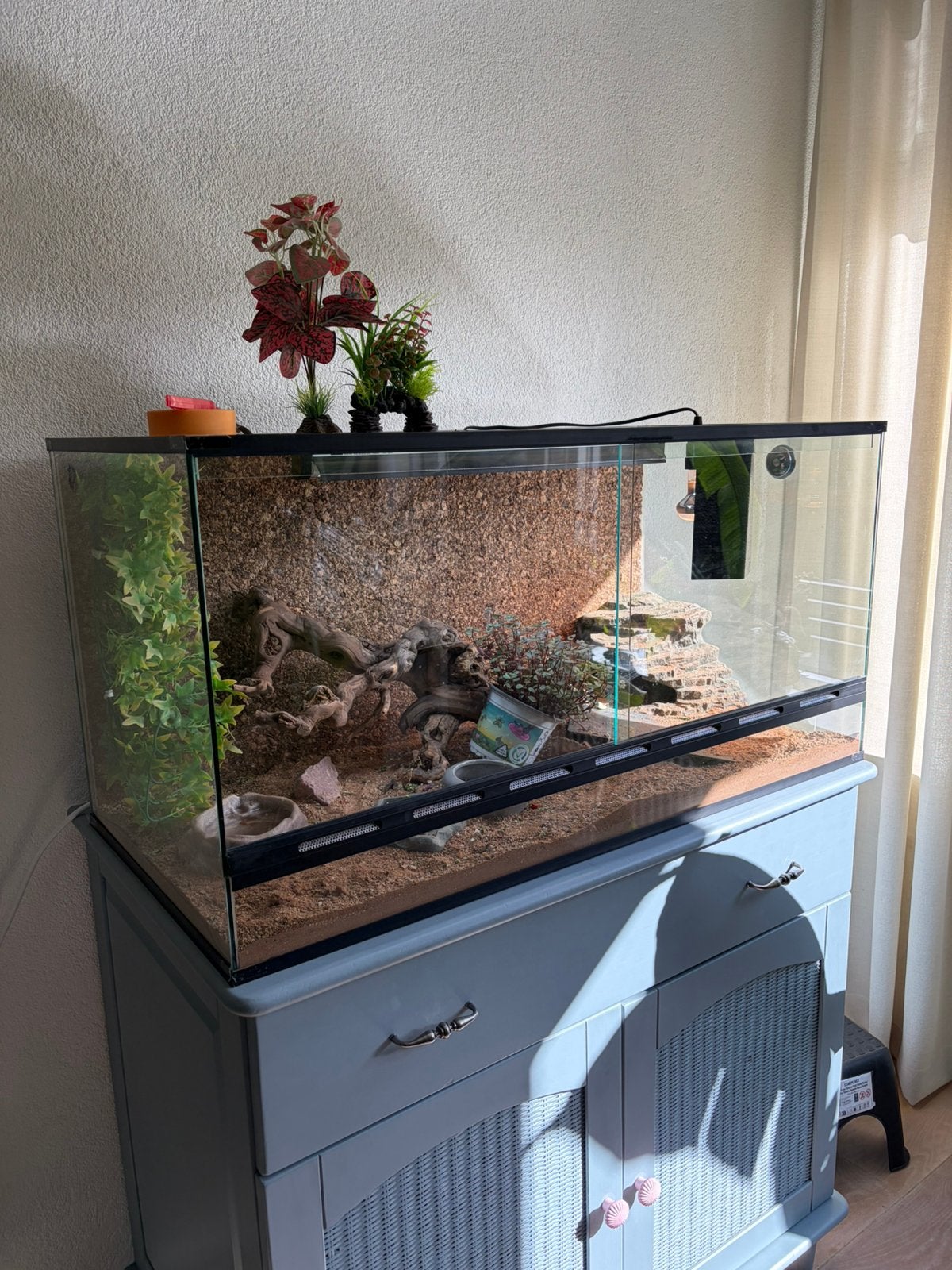 Terrarium 100x50x50, Dieren en Toebehoren, Ophalen, Zo goed als nieuw
