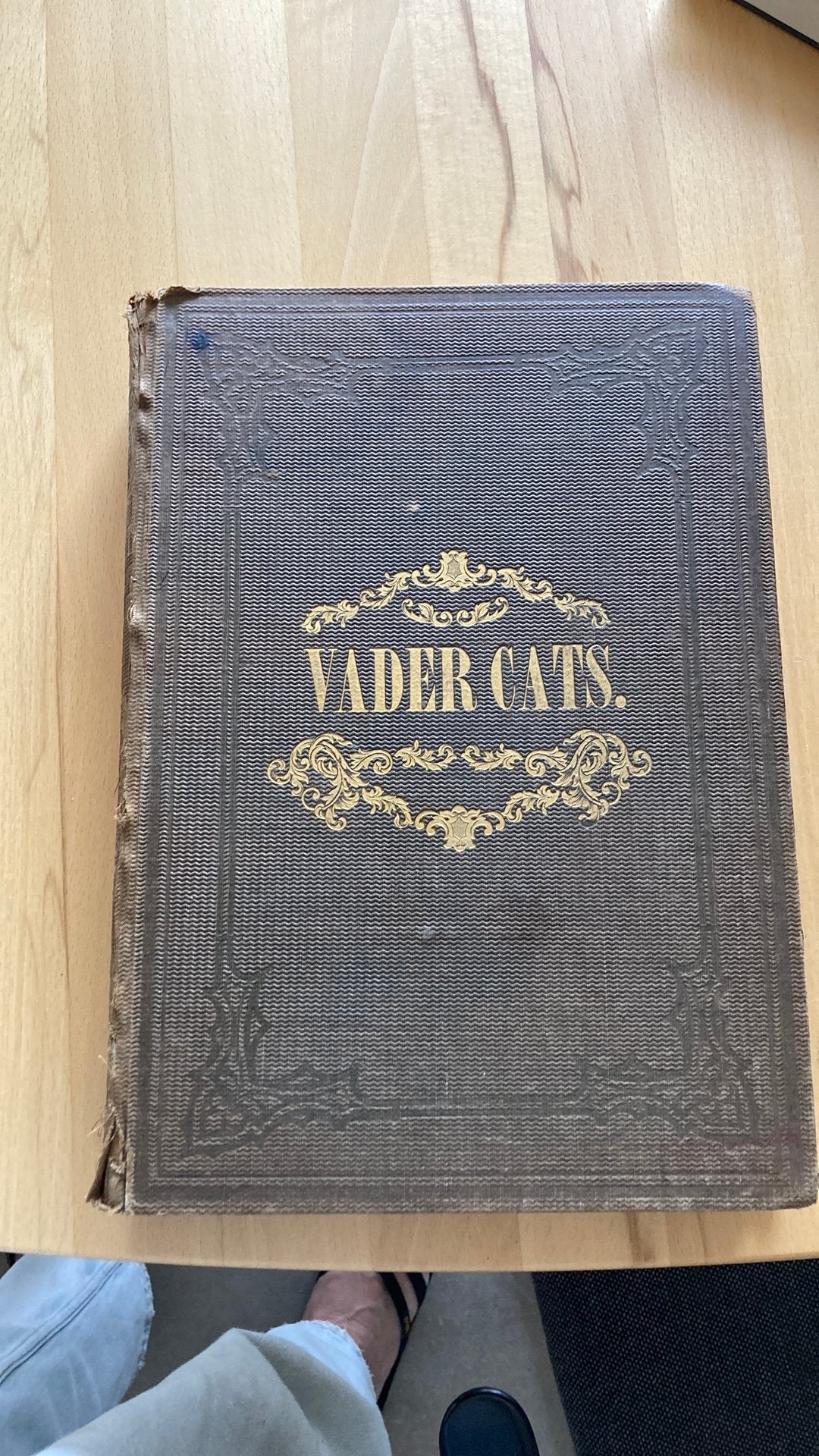 Vader Cats, Ophalen of Verzenden