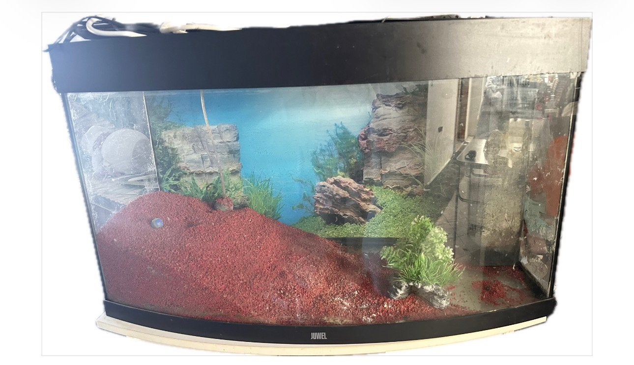 Juwel Aquarium te koop 91,5 x 54,5 x 31,5 cm, Dieren en Toebehoren, Vissen | Aquaria en Toebehoren, Ophalen, Gebruikt, Juwel, Inclusief deksel