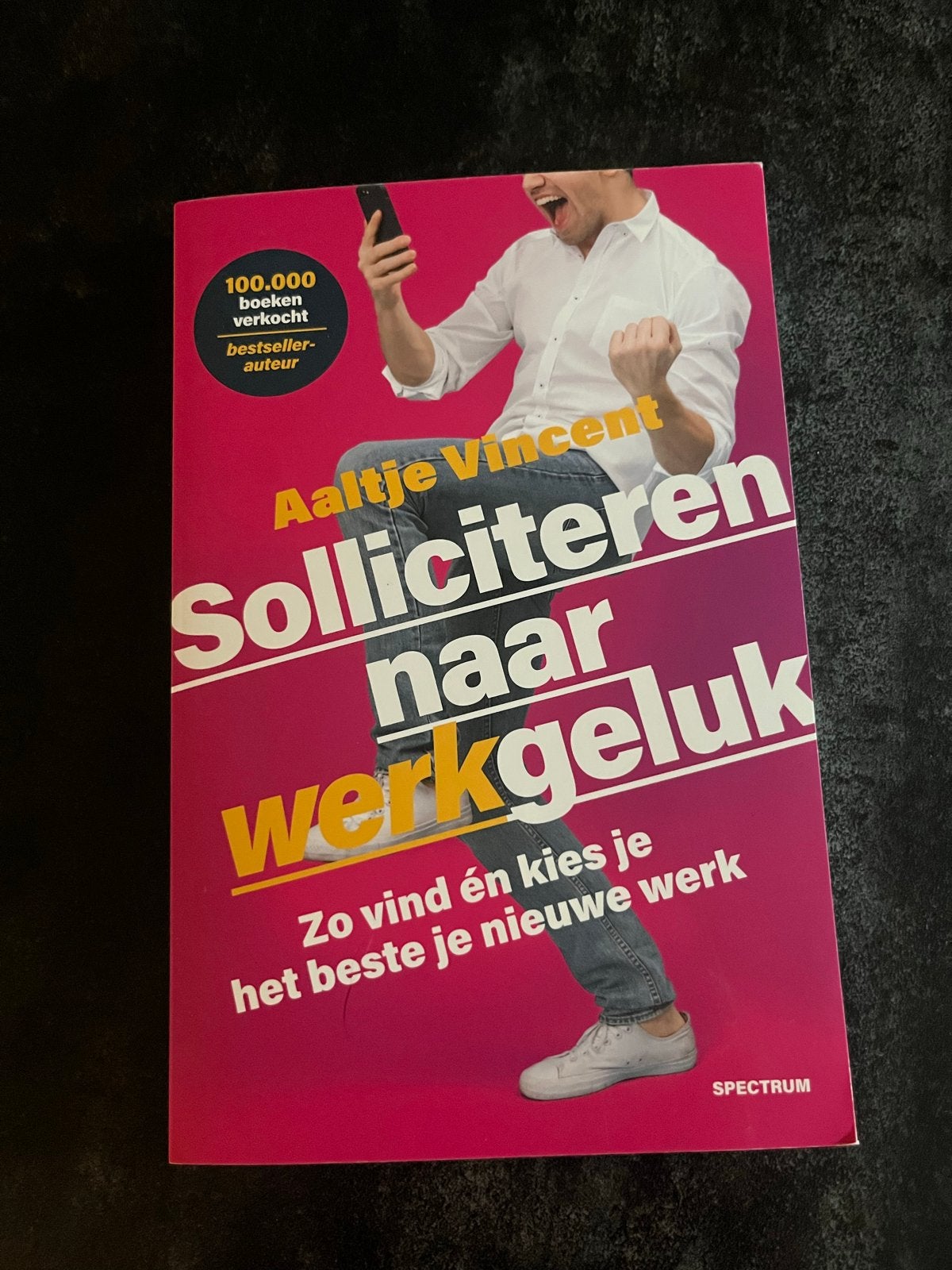Solliciteren naar Werkgeluk - Aaltje Vincent (Ongelezen), Boeken, Ophalen of Verzenden, Zo goed als nieuw