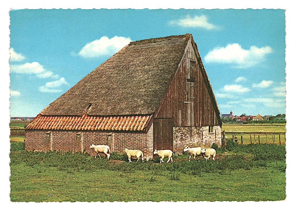 37135 Texel 1962 Schapenboet Gelopen met postzegel, Ophalen of Verzenden, 1960 tot 1980, Gelopen, Noord-Brabant