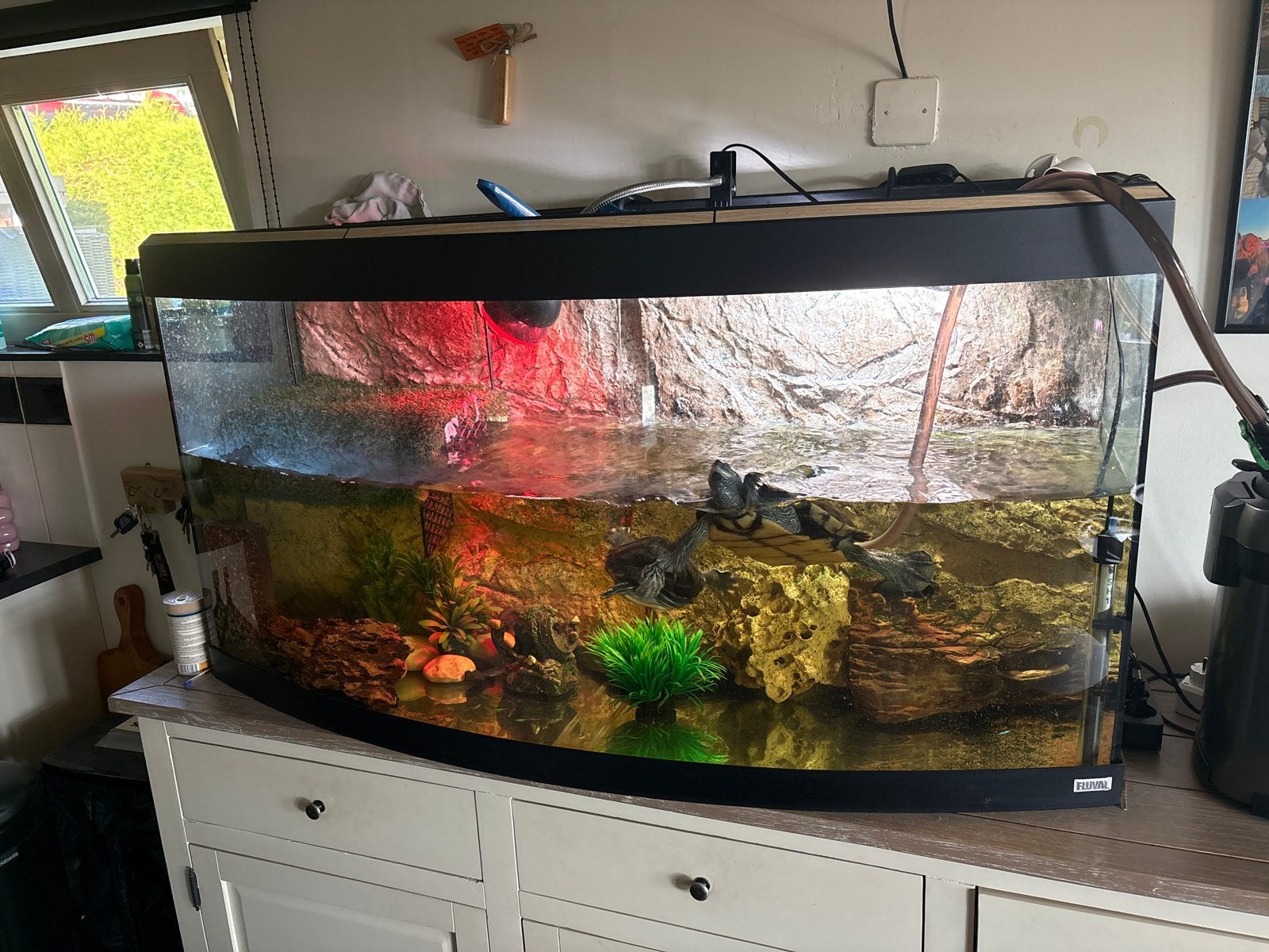 panorama aquaruim, Ophalen, Leeg aquarium