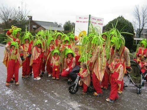 loopgroep, kinderpakken, kleur, gestreept, Carnaval, Ophalen of Verzenden, Zo goed als nieuw, Kleding