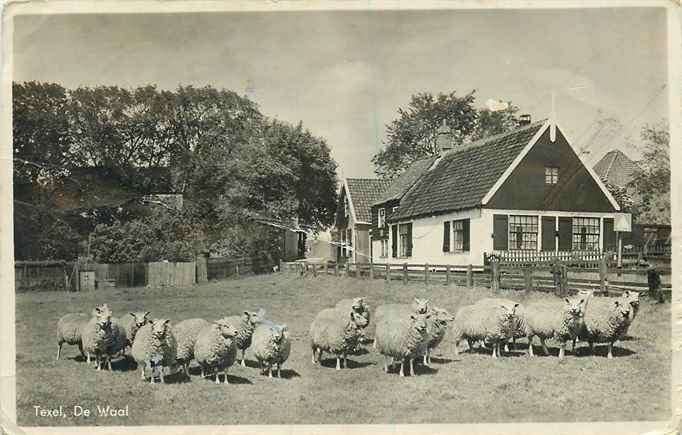 301-364-023 Texel de Waal, Verzenden, Voor 1920, Waddeneilanden