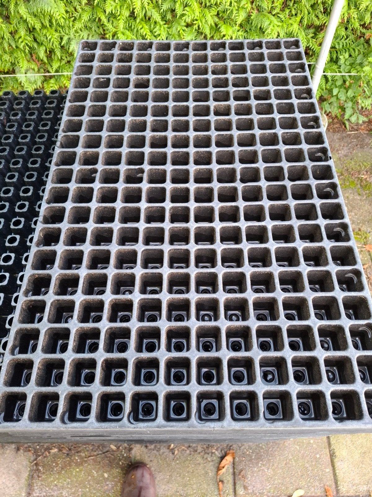 Stektrays..meermalig te gebruiken, Tuin en Terras, Deurmatten, Ophalen, Gebruikt, Kunststof