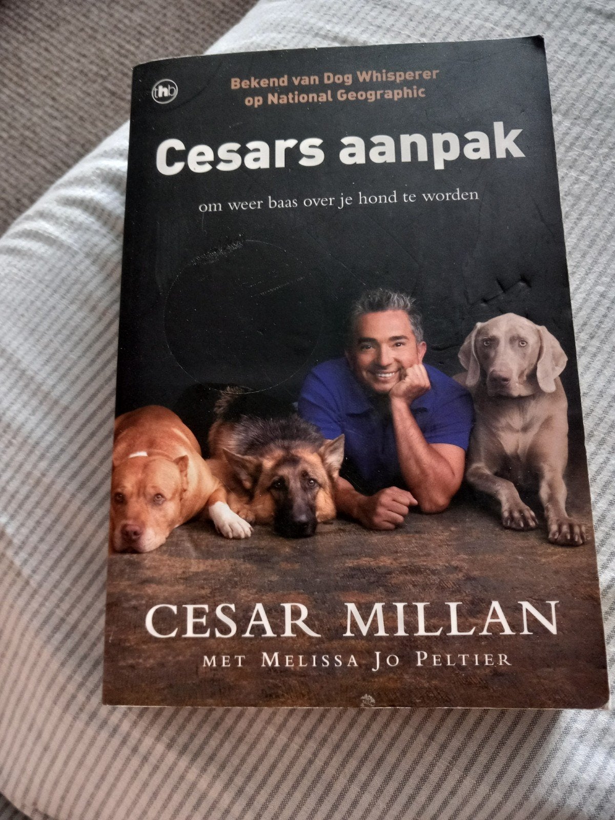 Cesars Millan, Ophalen, Zo goed als nieuw, Honden