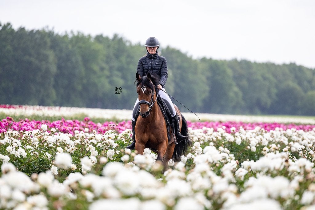 8 jarige E, menpony, Dieren en Toebehoren, B, 7 tot 10 jaar, Tuigpony, Merrie