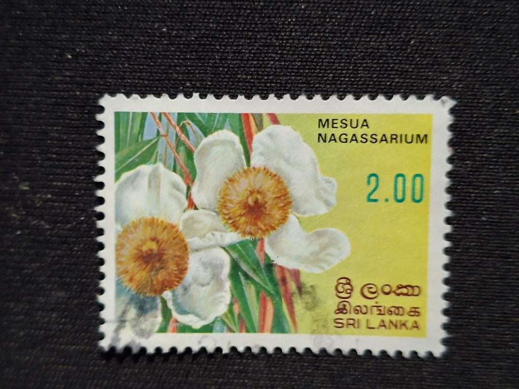 Sri Lanka, Postzegels en Munten, Postzegels | Azië, Ophalen of Verzenden, Gestempeld, Zuid-Azië