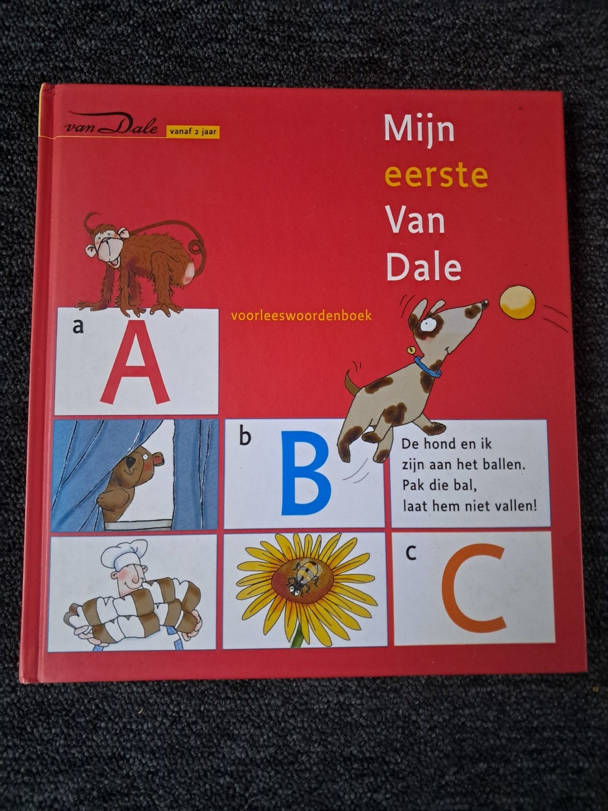 Mijn eerste Van Dale voorleeswoordenboek, Boeken, Kinderboeken | Baby's en Peuters, Ophalen of Verzenden, Zo goed als nieuw, Onbekend