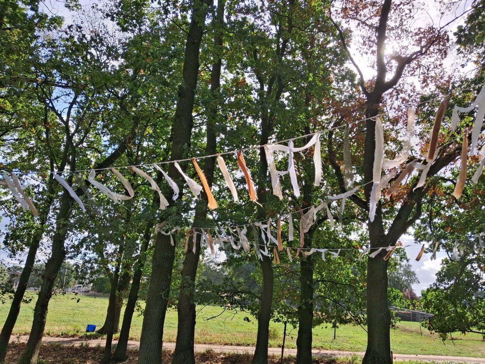 Bruiloft decoratie: bordjes, vlaggetjes etc, Hobby en Vrije tijd, Ophalen, Gebruikt, Versiering, Geboorte of Huwelijk