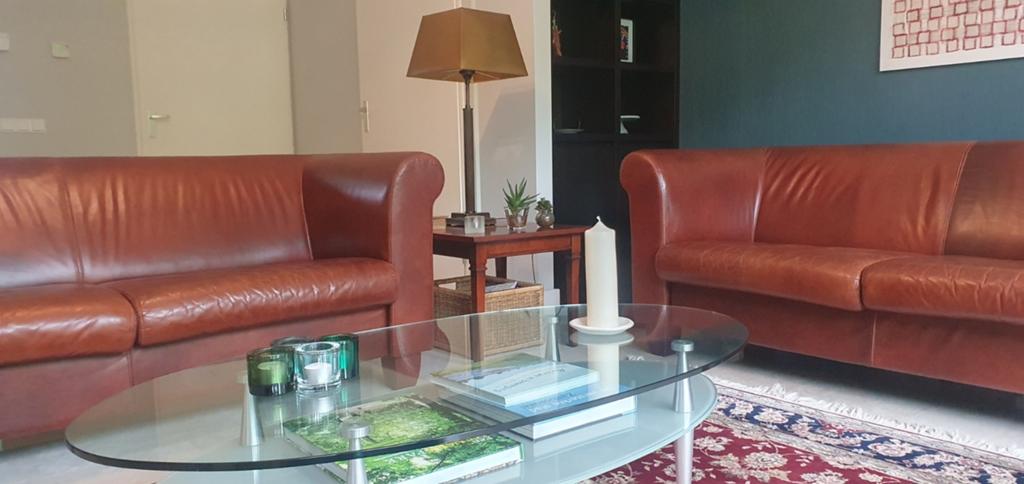 Twee comfortabele leren banken  2,5 zits, Huis en Inrichting, Banken | Bankstellen, Ophalen, Gebruikt, 150 tot 200 cm, Tweepersoons
