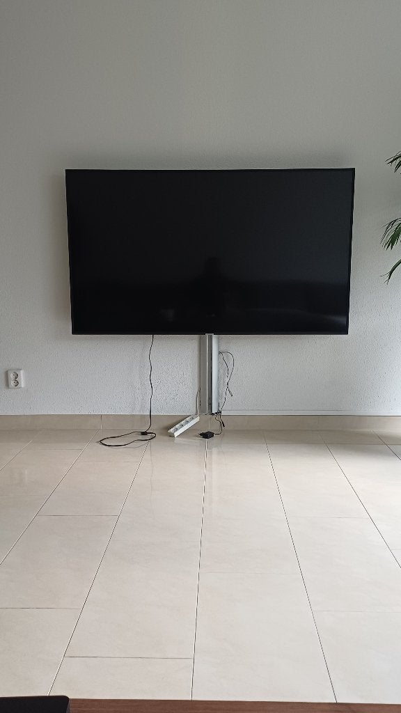 Foto 6 van Samsung 65 inch TV met defect