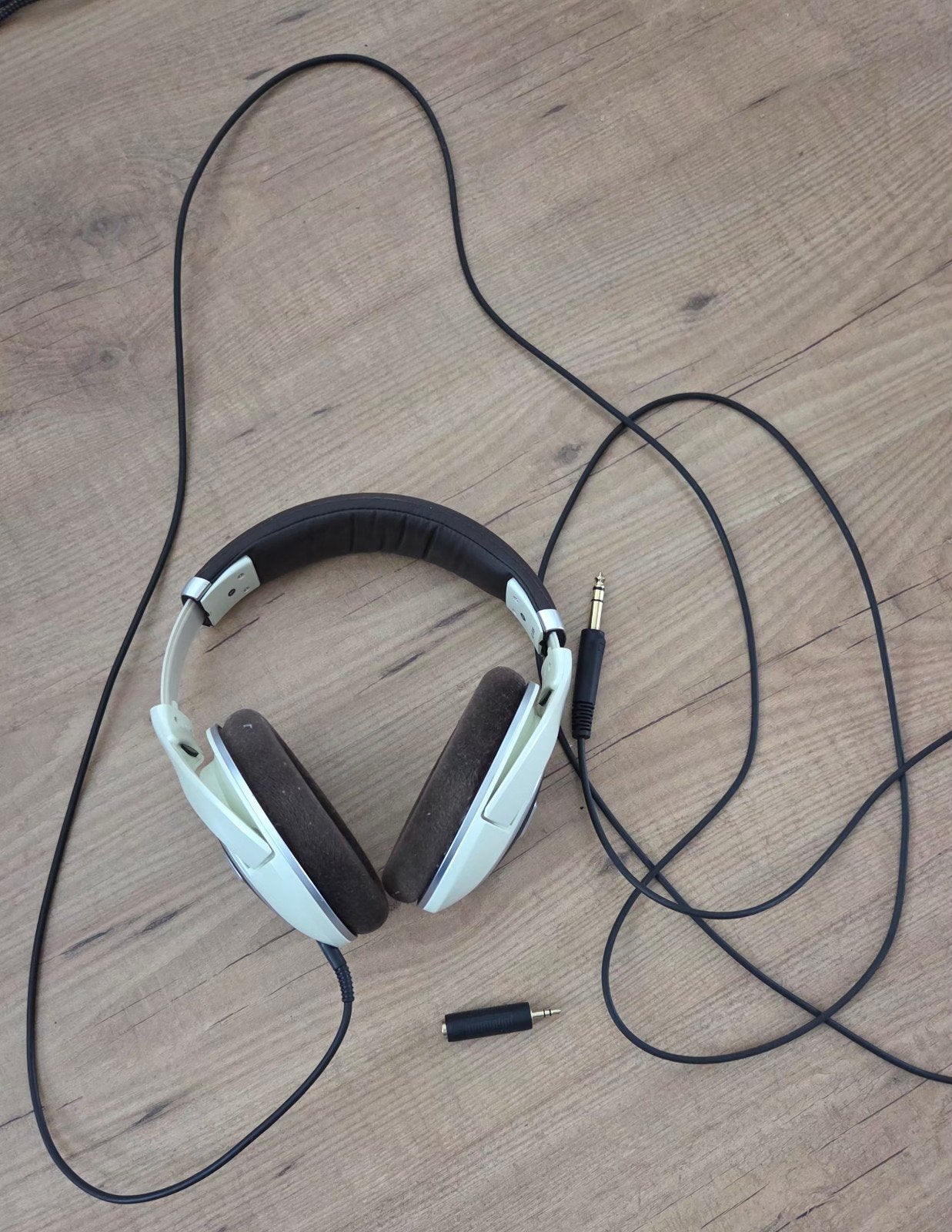 Sennheiser HD 599 Hoofdtelefoon - Gebruikt