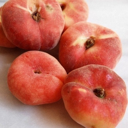 Te koop: platte of wilde perzik zaailingen, Tuin en Terras, Planten | Tuinplanten, Ophalen, Vaste plant, Fruitplanten, Volle zon