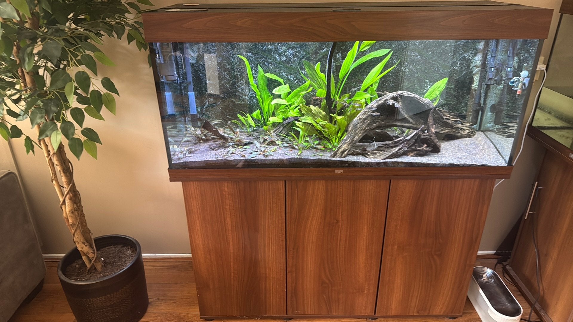 Juwel Rio 240 + Juwel helialux spectrum, Dieren en Toebehoren, Ophalen, Gebruikt, Leeg aquarium