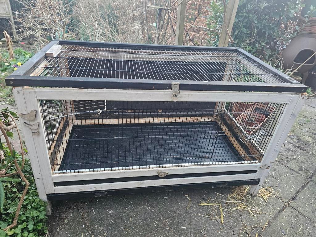 Ruime ratten cavia degoe hok, Ophalen, Hok, Cavia, Minder dan 60 cm