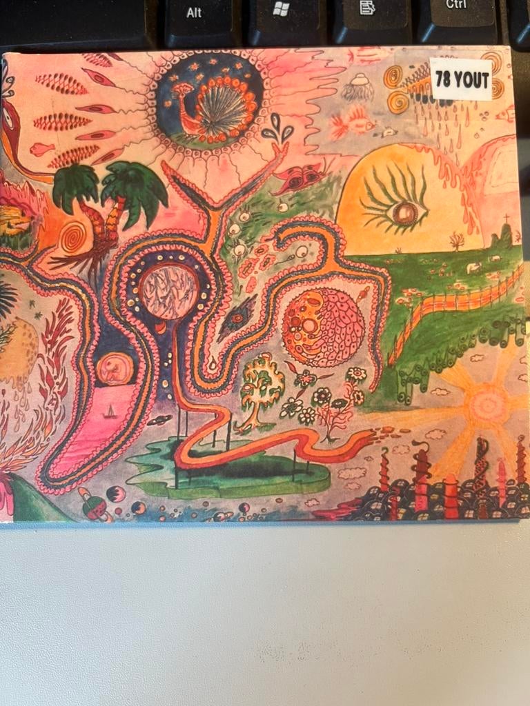 Youth Lagoon – Wondrous Bughouse, Ophalen of Verzenden, Zo goed als nieuw