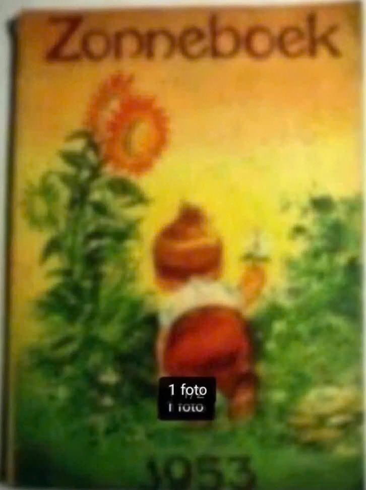 Zonneboek 1953, Ophalen of Verzenden, Gelezen