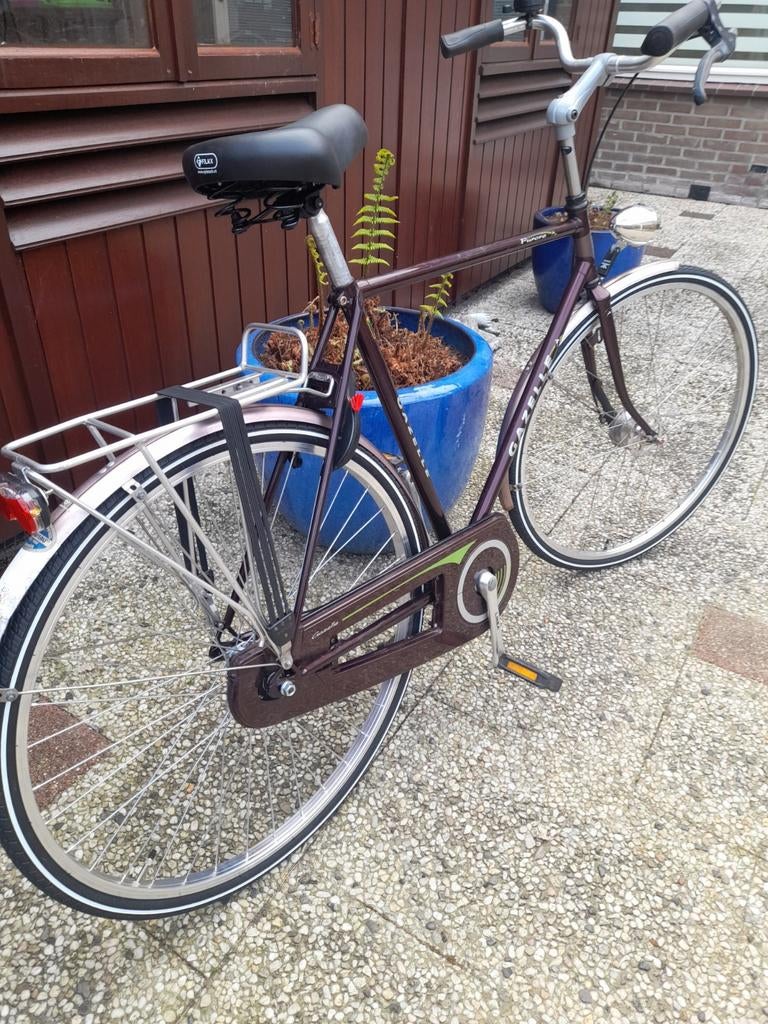 Solide Gazelle Furore herenfiets 57 cm, Fietsen en Brommers, Ophalen, Gebruikt, Versnellingen, 57 tot 61 cm