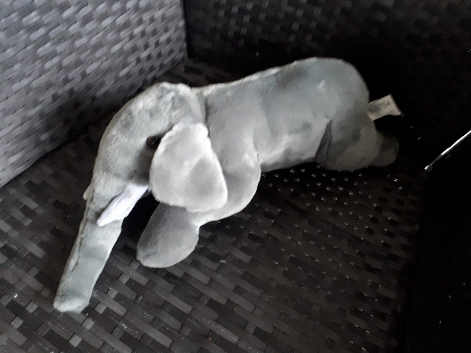 Grijze olifant knuffel, Ophalen, Zo goed als nieuw, Olifant