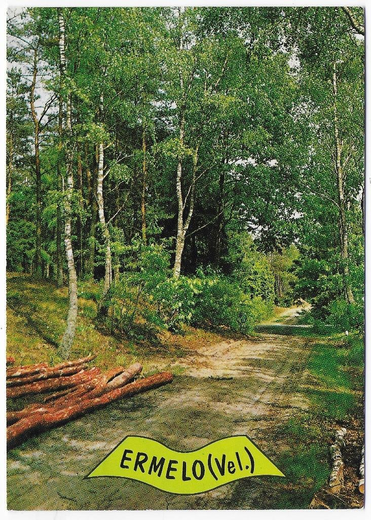 Ermelo gelopen Ansichtkaart ( B2707 ), Ophalen of Verzenden, 1980 tot heden, Gelopen, Gelderland