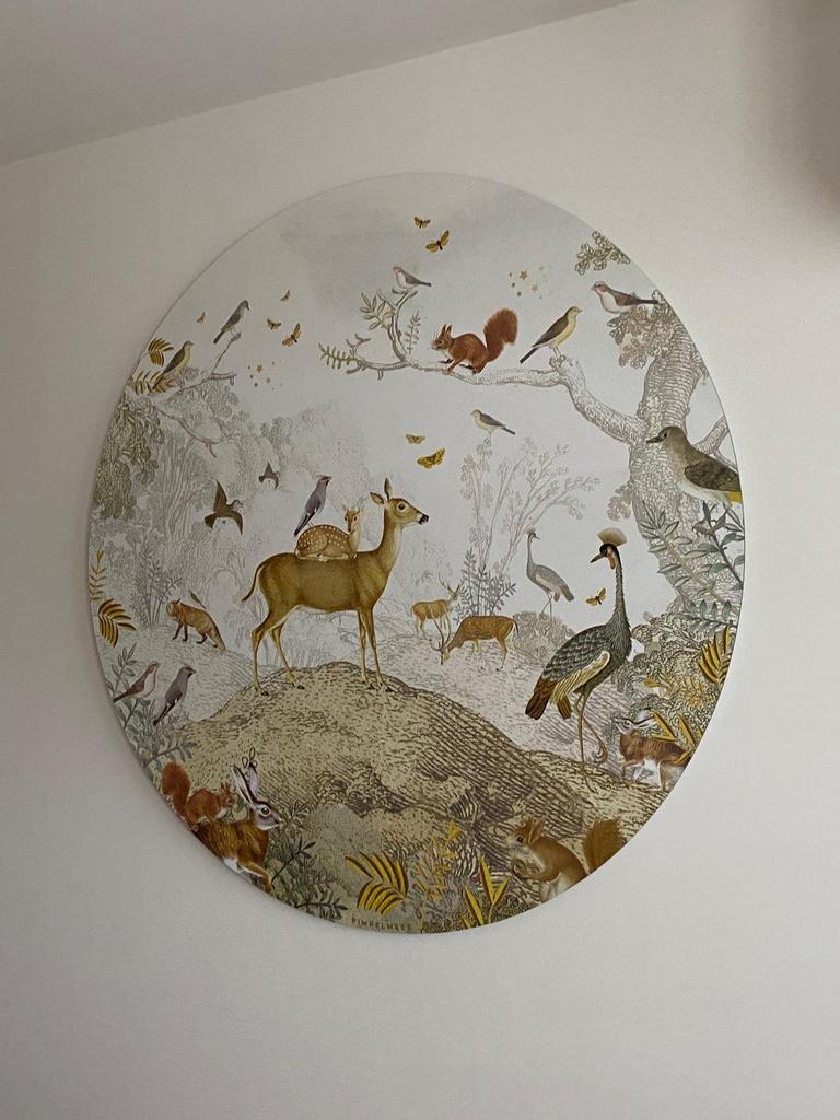 Pimpelmees Wanddecoratie dibond  Rond Bosdieren, Huis en Inrichting, Ophalen, Zo goed als nieuw