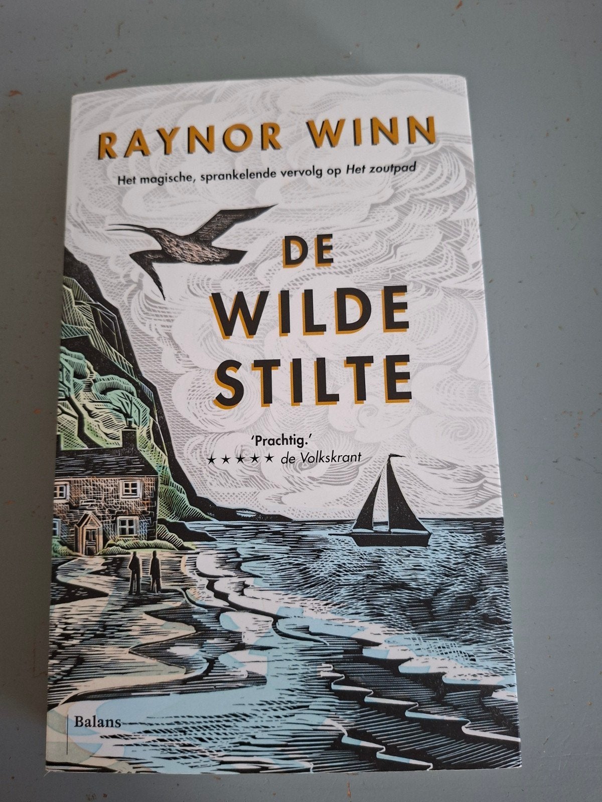 Raynor Winn - De wilde stilte, Ophalen of Verzenden, Zo goed als nieuw, Natuur algemeen, Raynor Winn