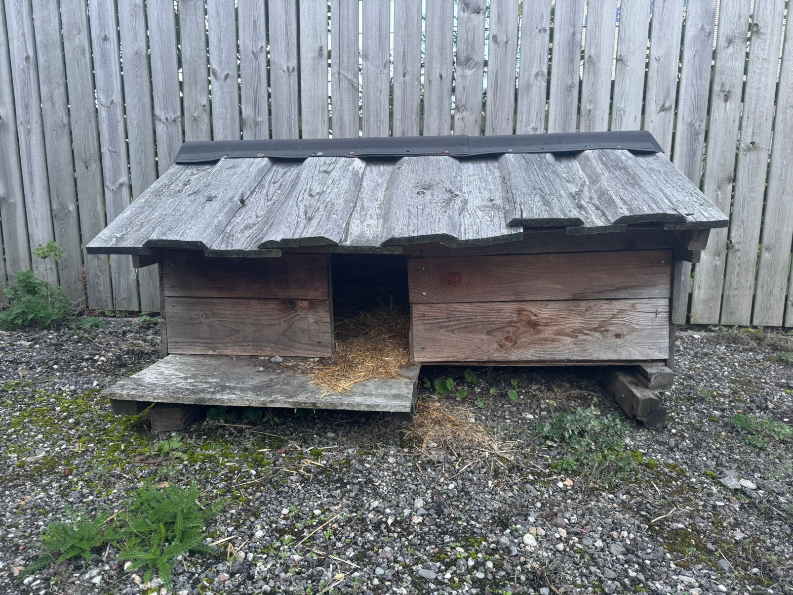 Zwaar Douglas kippenhok / eendenhok / dierenhok 165 cm, Ophalen, Gebruikt, Kippenhok of Kippenren, Handgemaakt