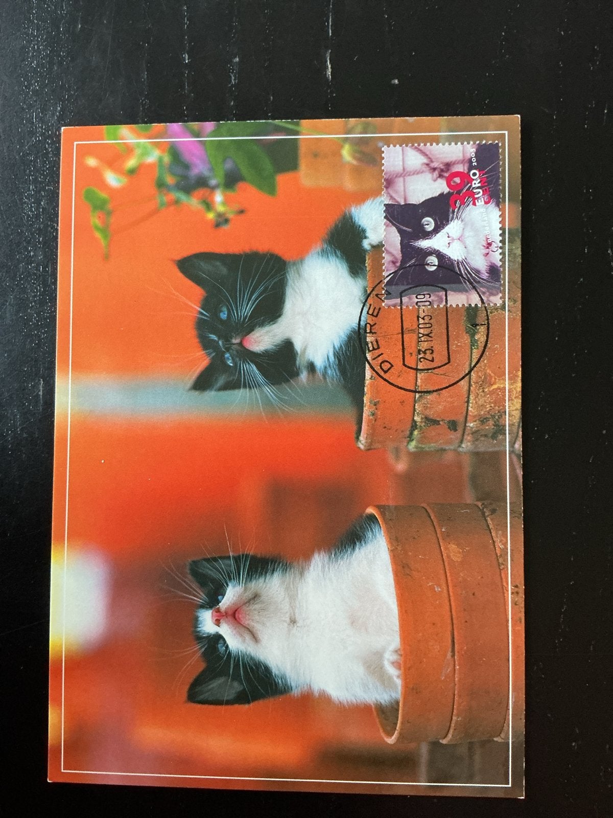 Eerstedagskaart met gestempelde postzegel met kittens, Ophalen of Verzenden