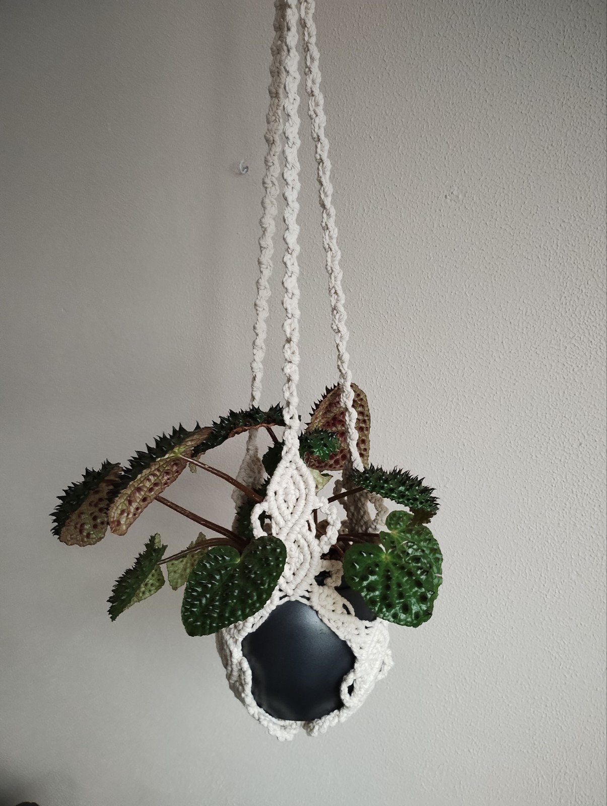 Handgemaakte macramé plantenhanger. Sisters Forever., Beige, Boho, Nieuw, Ophalen of Verzenden