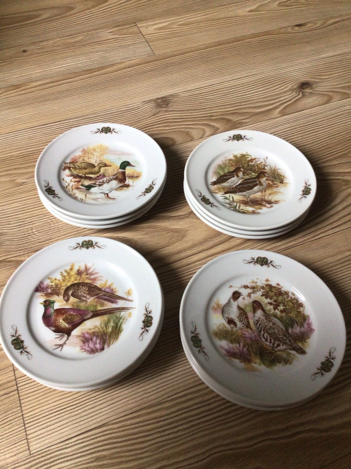 Set van 12 Royal Ter Steege Holland decoratieve gebaksborden, Ophalen of Verzenden