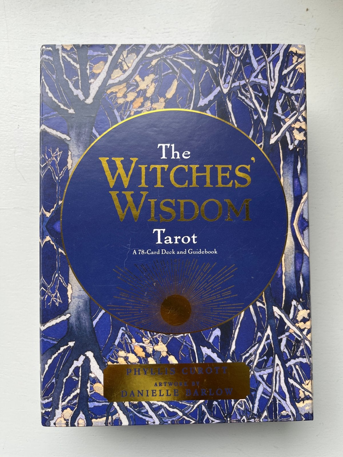 The Witches' Wisdom Tarot: Kaartendeck en Gidsboek, Ophalen of Verzenden, Zo goed als nieuw, Tarot of Kaarten leggen, Overige typen