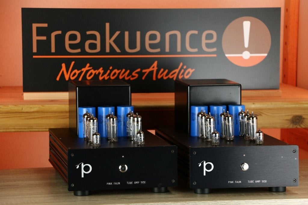 Pink Faun Tube Amp 1x50 / 1 x 50 INRUIL OK. Strakke sound!, Audio, Tv en Foto, Versterker, Ophalen of Verzenden, Pink Faun, Oude Apeldoornseweg 41-45, 7333 NR, Apeldoorn, Nederland
