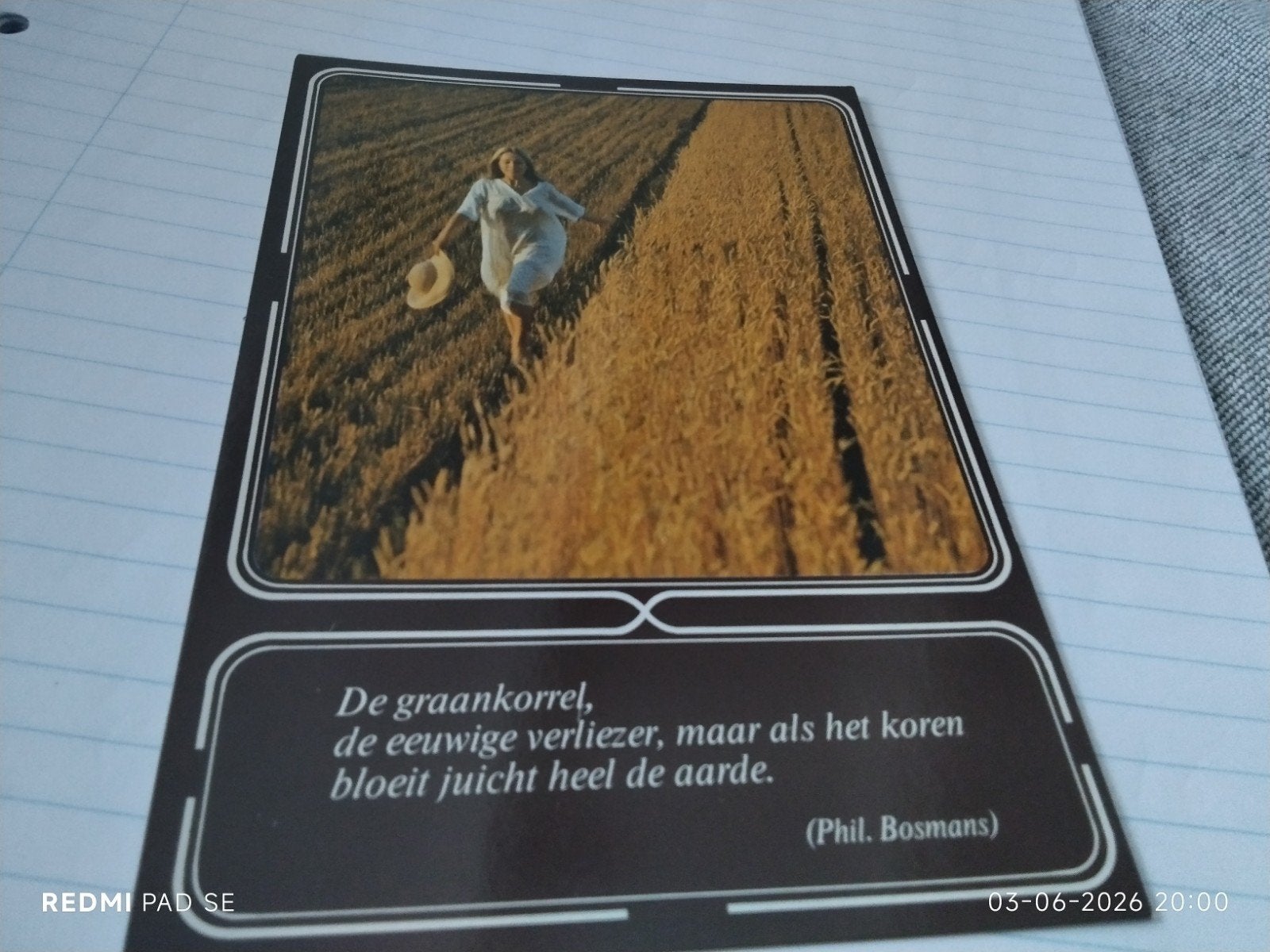 Postkaart: Vrouw in Korenveld met Phil Bosmans Citaa, Ophalen of Verzenden