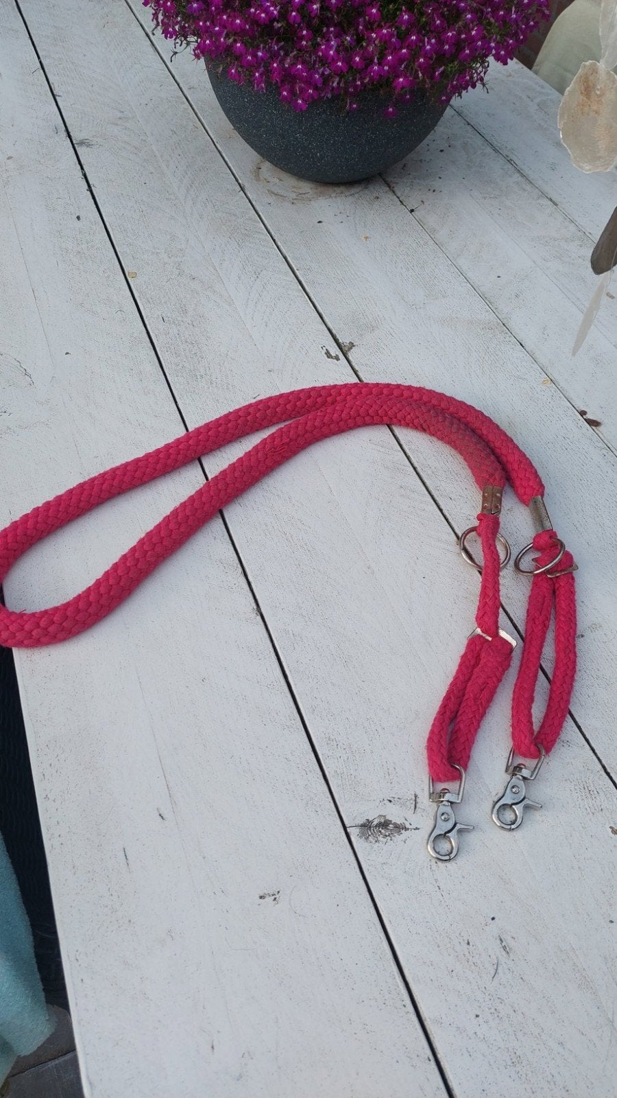 Shetlander longeerhulp, Dieren en Toebehoren, Ophalen of Verzenden, Gebruikt