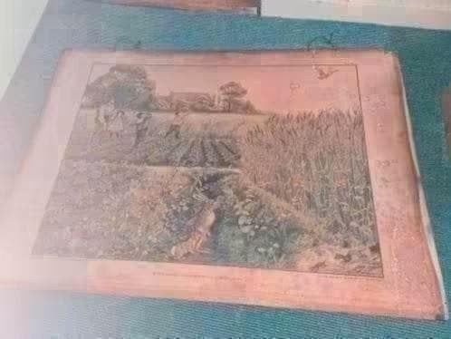 Oude schoolplaat 103x74 cm - Landbouwtafereel, Ophalen of Verzenden, Geschiedenis
