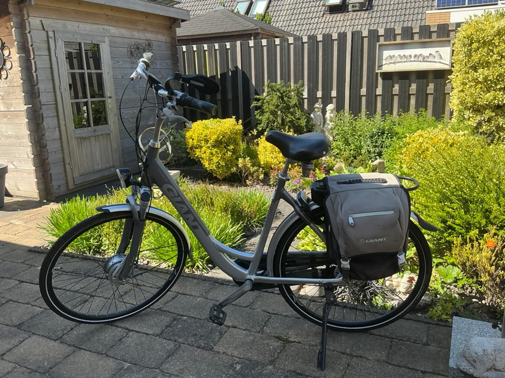 Giant easy e fiets, 55 tot 59 cm, Ophalen, Gebruikt, Giant