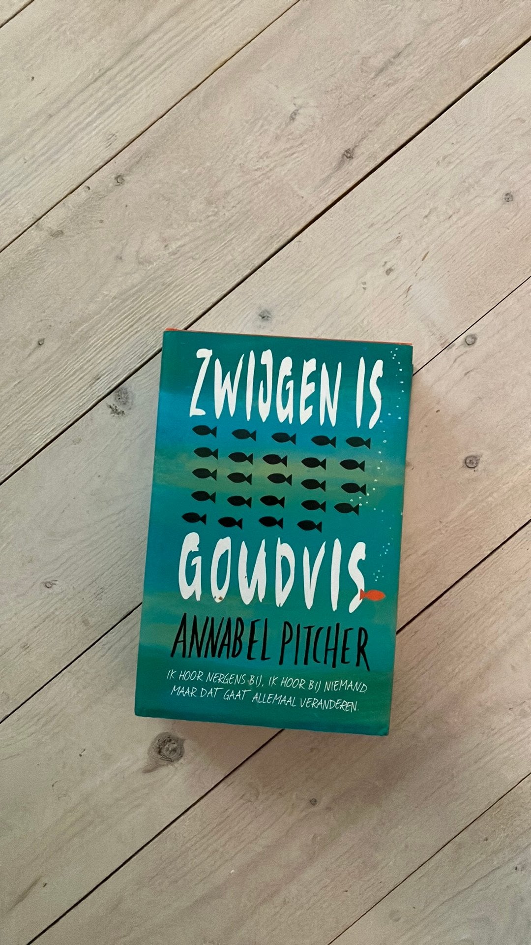 Annabel Pitcher - Zwijgen is goudvis, Boeken, Ophalen of Verzenden, Zo goed als nieuw, Annabel Pitcher