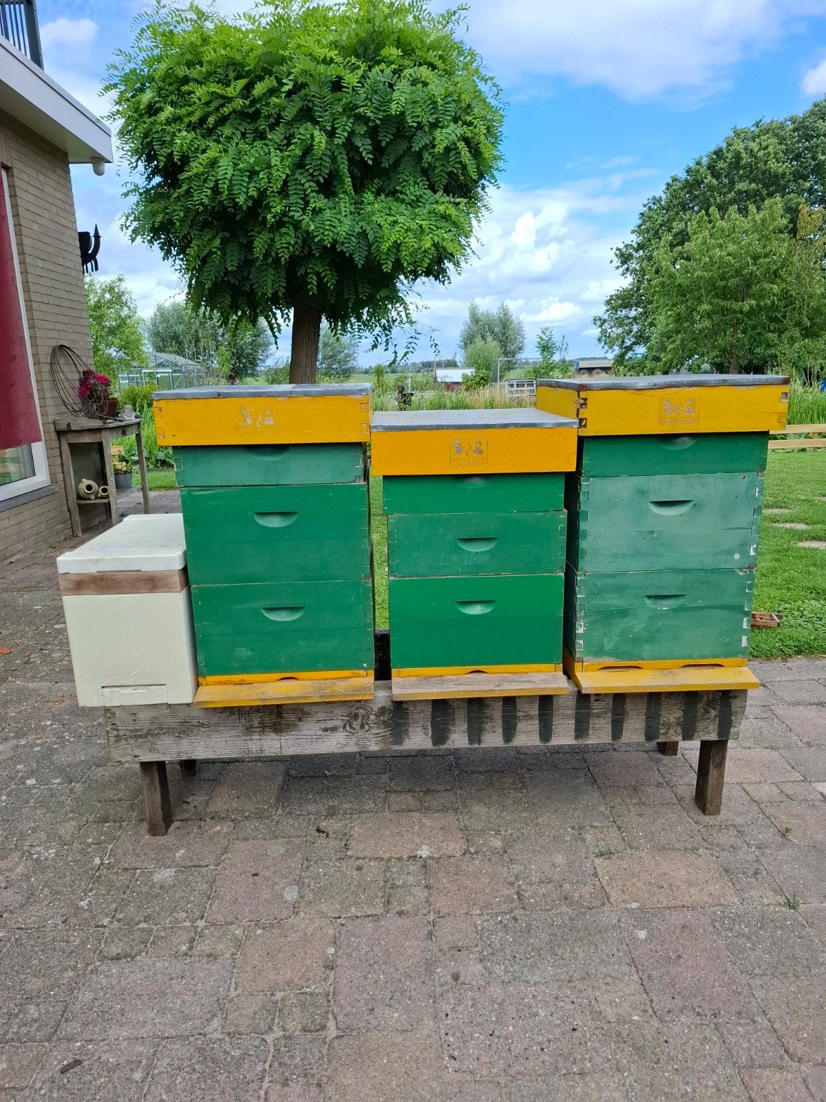 Bijenkast, bijenhouden, imker, honing maken, Bijen