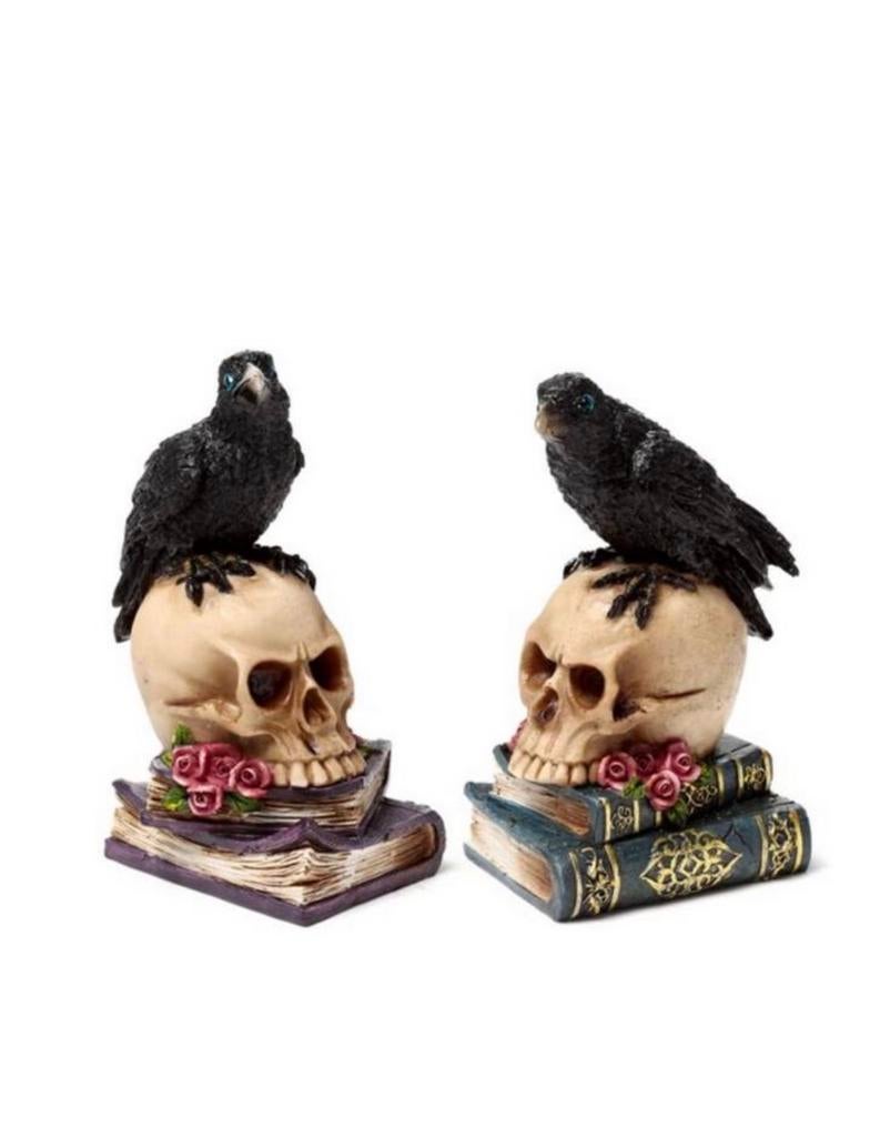 Decoratief beeld: Kraai op schedel en boeken (paars/groen), Ophalen of Verzenden, Nieuw, Versiering, Halloween of Griezel
