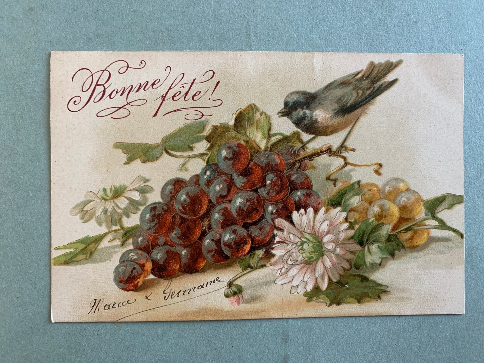 Vogel, Ophalen of Verzenden, Voor 1920, Gelopen, Natuur