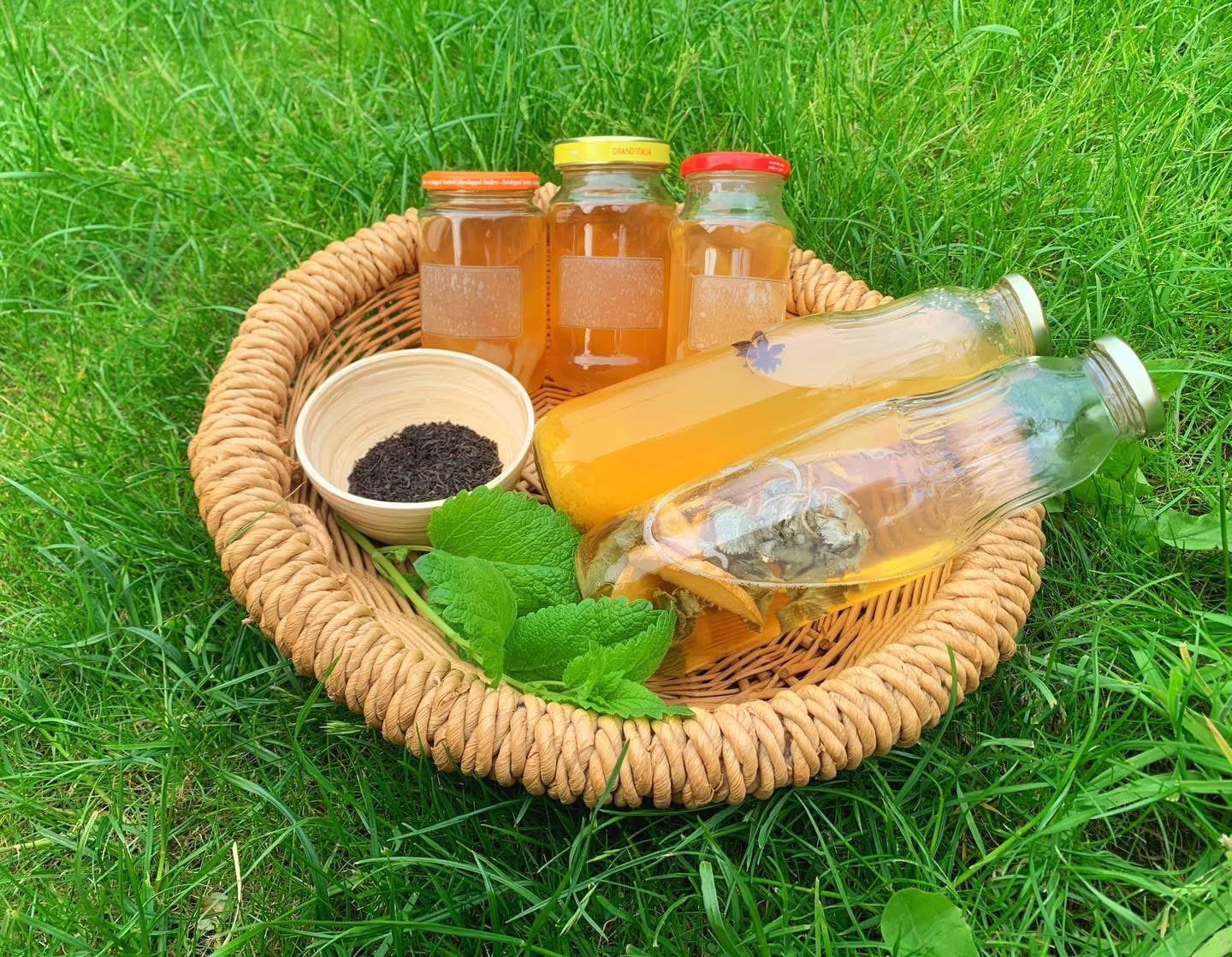 Kombucha startset, Ophalen