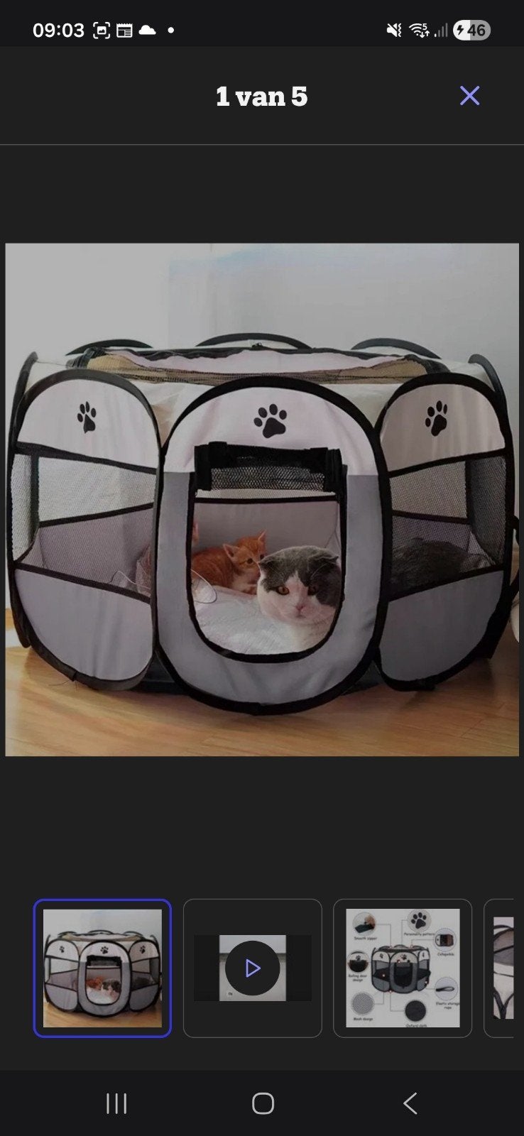 kitten,puppy,konijnren, Ophalen