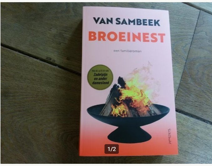van Sambeek - Broeinest, Boeken, Romans, Ophalen of Verzenden, Zo goed als nieuw
