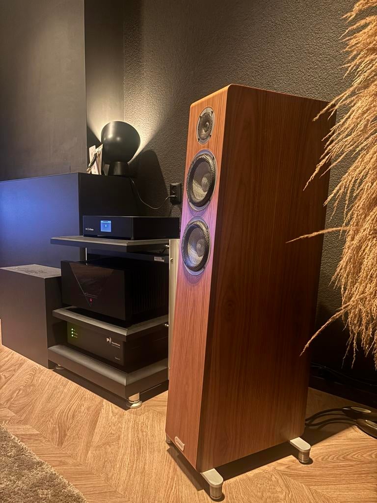 Gryphon Essence Stereo Eindversterker –inruil Hegel mogelijk, Audio, Tv en Foto, Versterkers en Receivers, Zo goed als nieuw, 120 watt of meer