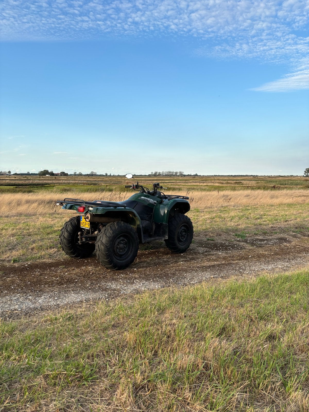 Yamaha Grizzly 450 - Start en rijdt goed, nieuwe banden/accu, Motoren, 1 cilinder, 12 t/m 35 kW