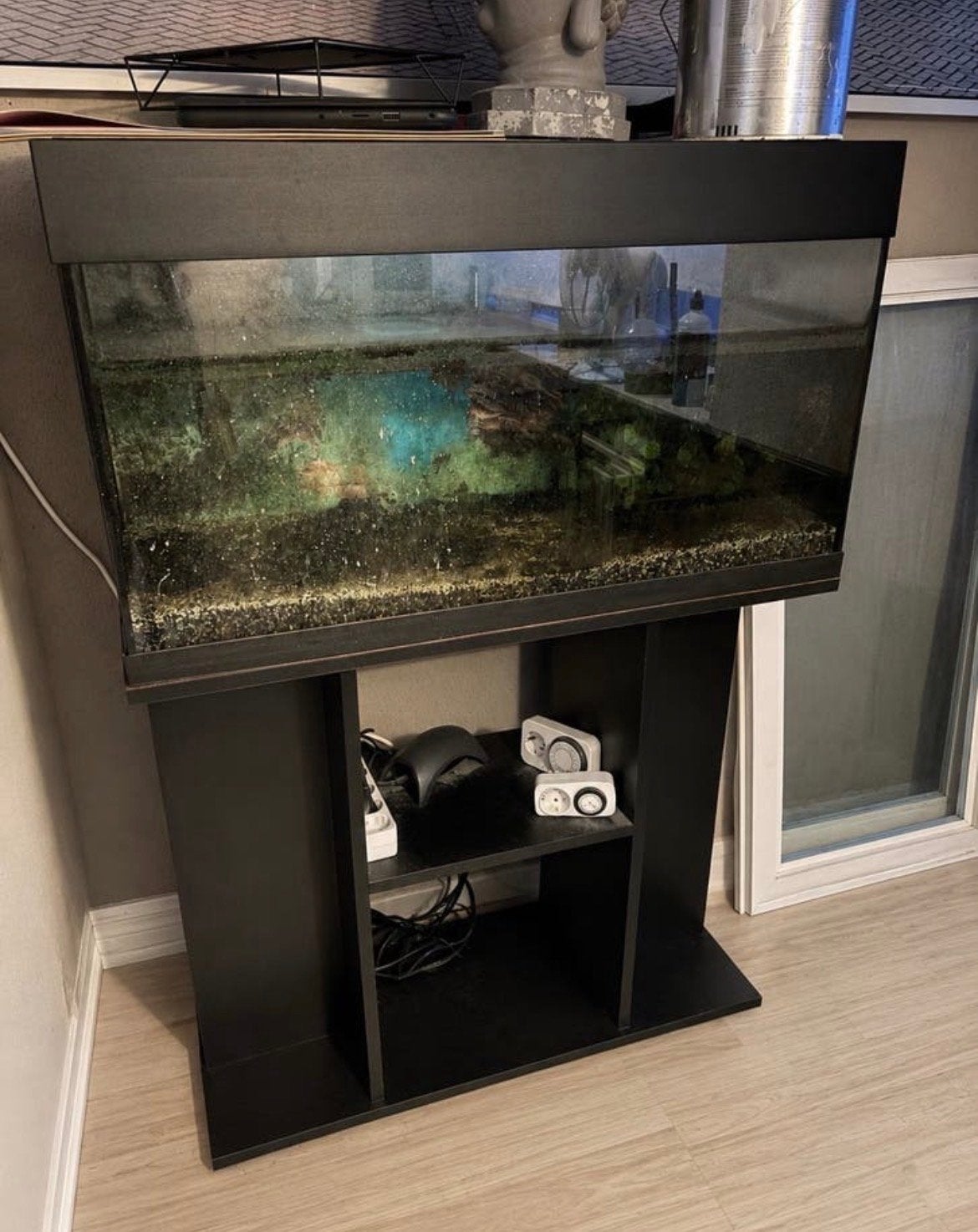 Mooie aquarium, Ophalen, Leeg aquarium