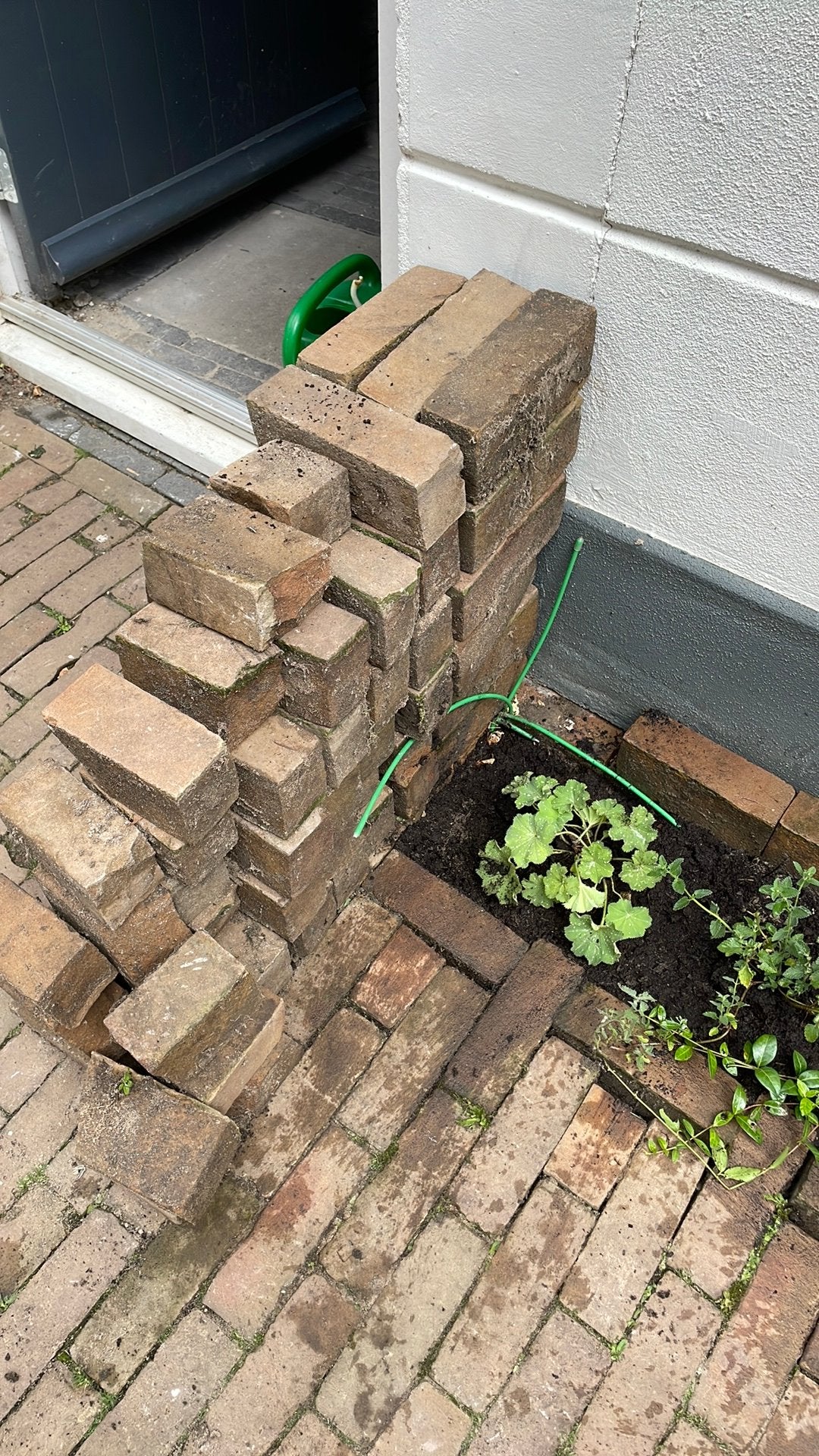 Gratis Ophalen: Gebruikte stoep stenen in Kampen Centrum, Ophalen, Gebruikt, Bakstenen