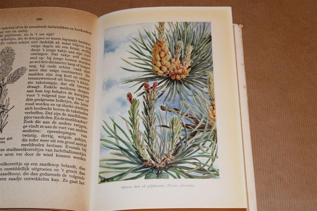 Heimans & Thijsse\'s Klassieker \'Hei en Dennen\' [1948], Boeken, Natuur, Ophalen of Verzenden, Gelezen