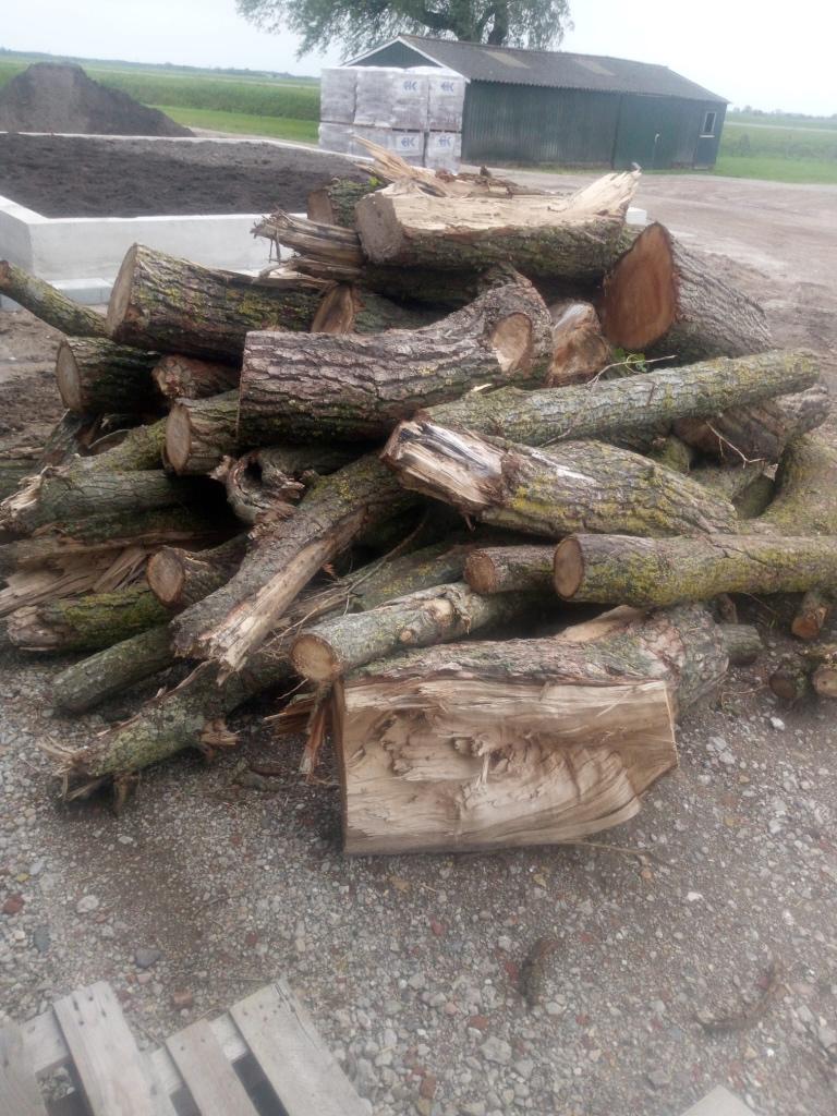 5 kuub wilg populier, Tuin en Terras, Haardhout, 3 tot 6 m³, Ophalen, Overige houtsoorten, Stammen